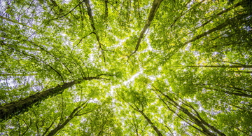 Your Hygiene Routine but Better β For You and the Planet