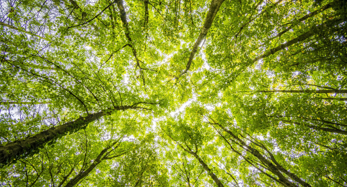 Your Hygiene Routine but Better — For You and the Planet