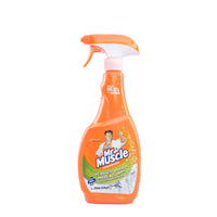 Mr. Muscle Mold & Mildew Primary 500 ml